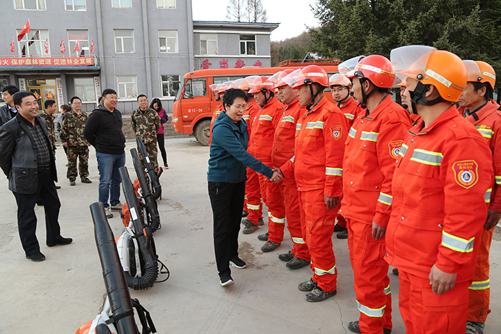 督导组一行来到和平林场扑火队观看训练情况、督导组领导张萍亲切和他们握手.jpg
