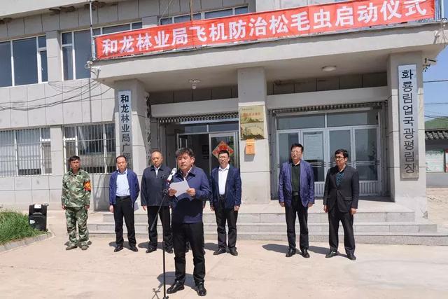 延边林区“大战”松毛虫