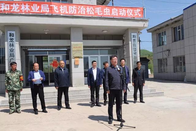 延边林区“大战”松毛虫