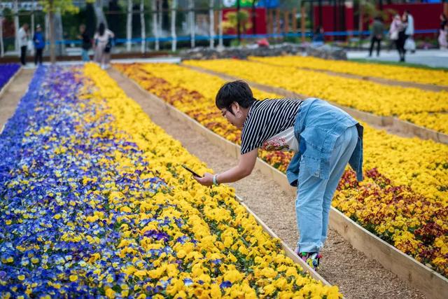 长白山森工集团走进北京世园会 唱响最美森林主旋律