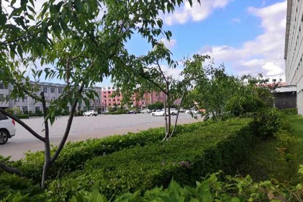 印象长白山森工：清洁行动让林区美丽 环境整治为职工谋福