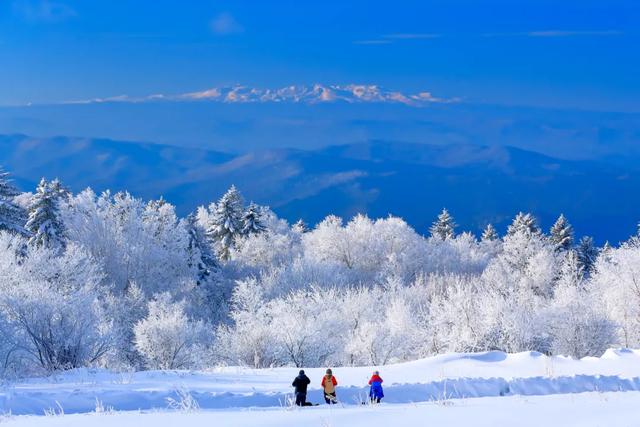 印象长白山森工：王连弟到长白山森工仙峰滑雪场调研项目建设工作