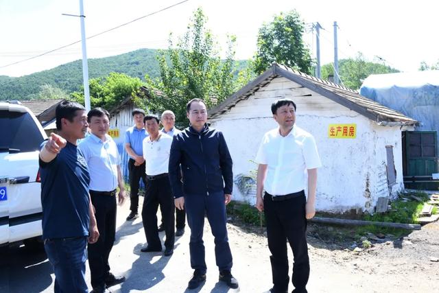 王连弟到汪清 大兴沟 天桥岭林业公司督导调研上半年重点工作