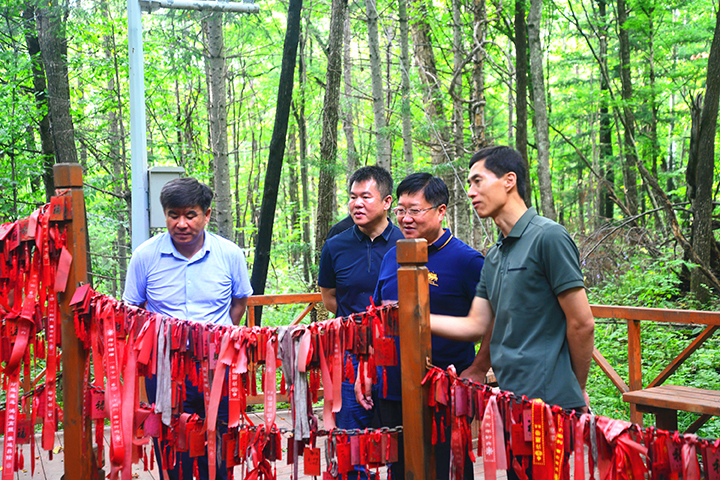 9.调研组到东北红豆杉景区调研.jpg
