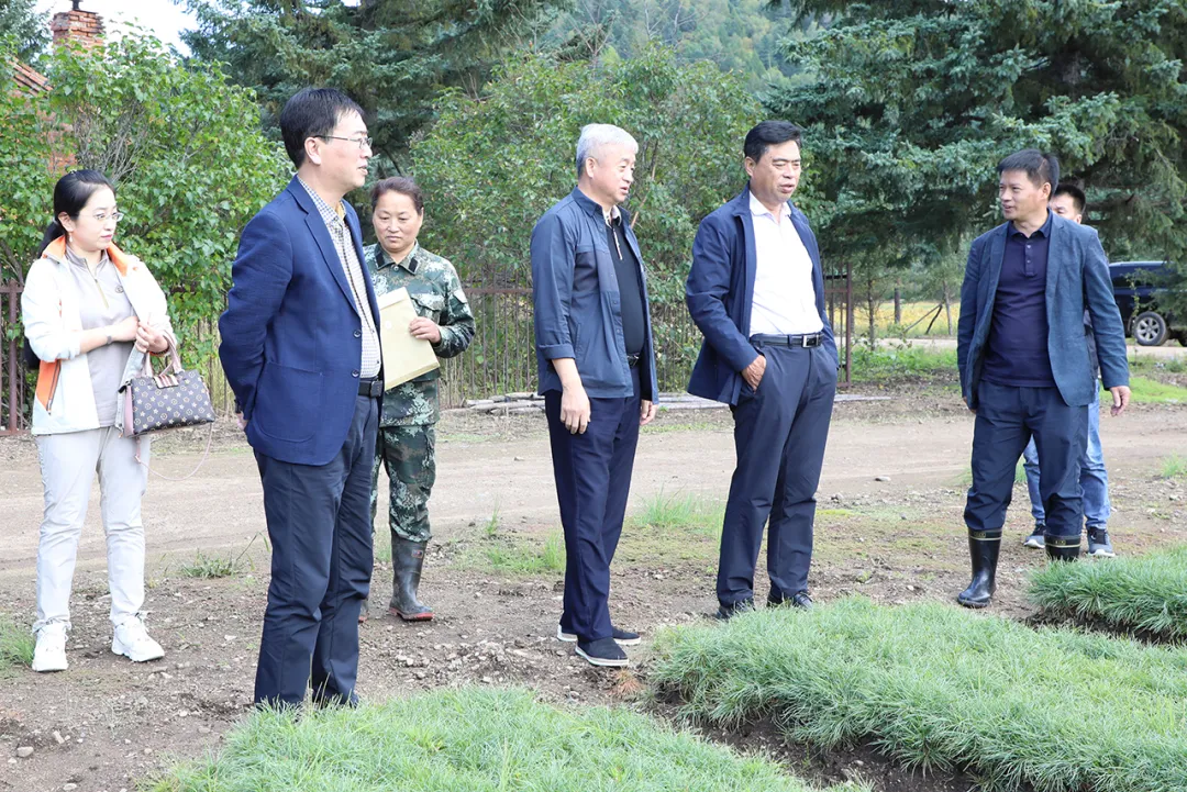 长白山森工集团监事会开展监事会工作督导调研