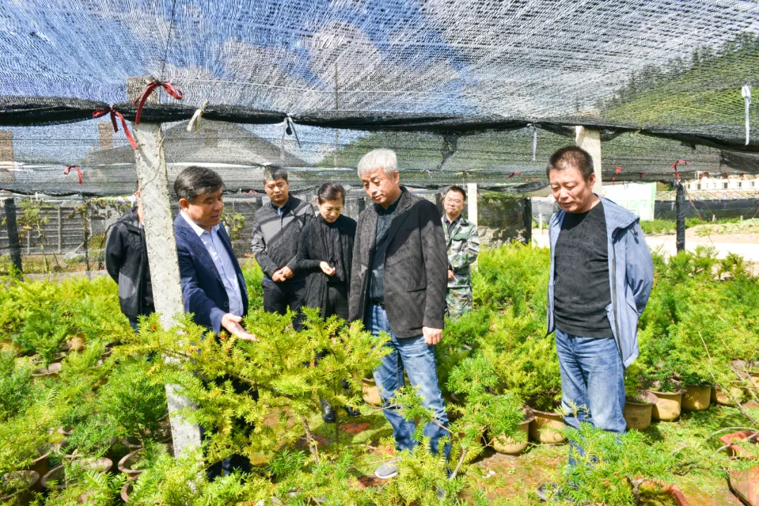 长白山森工集团监事会开展监事会工作督导调研