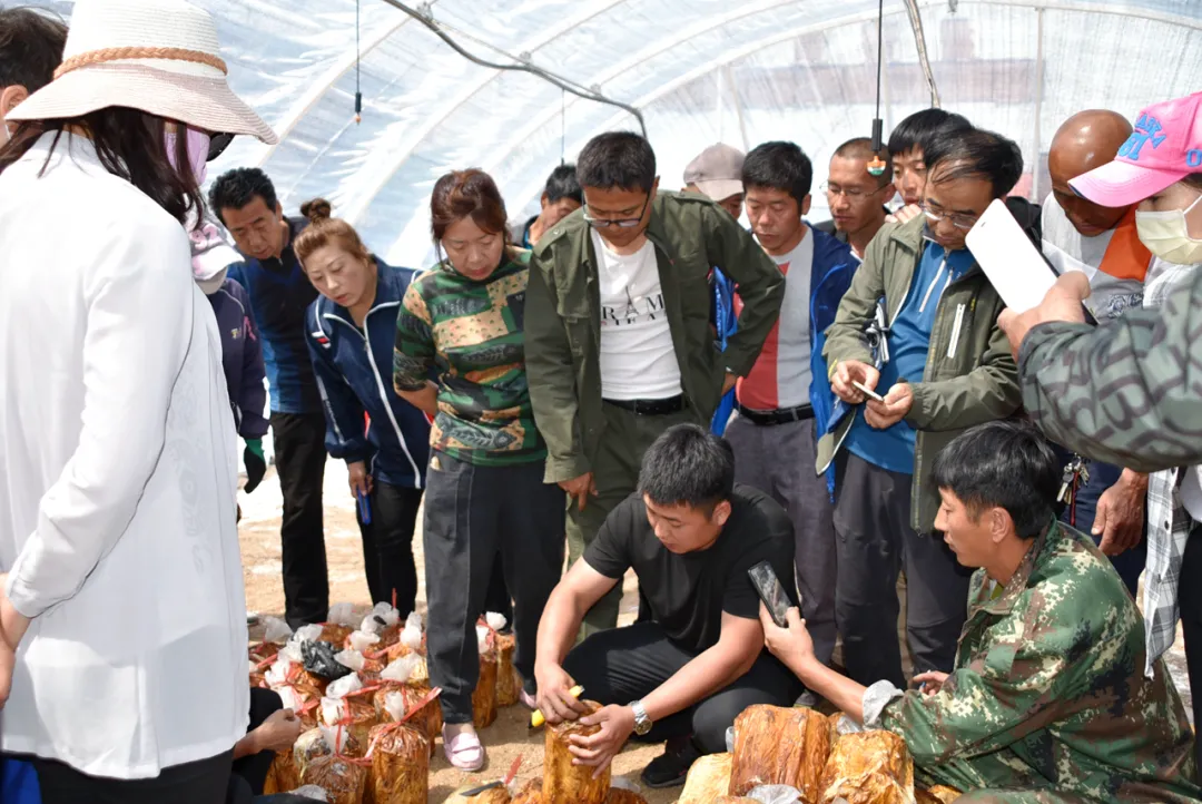 印象长白山森工：林业科技助力集团高质量发展