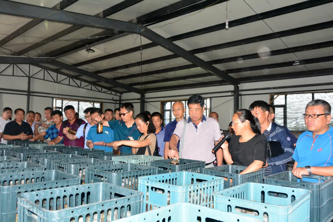 印象长白山森工：林业科技助力集团高质量发展