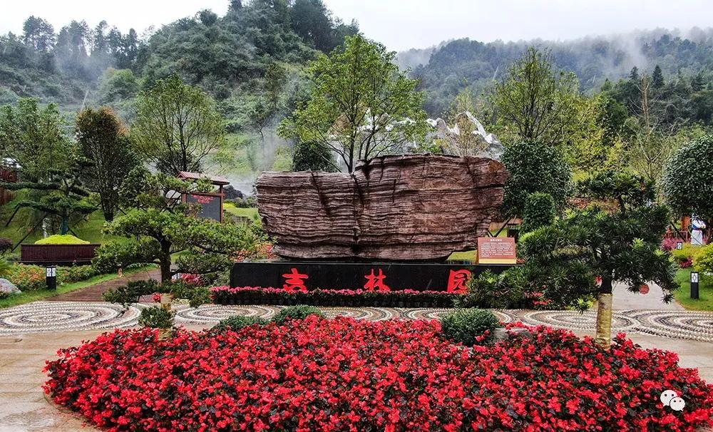 长白山森工集团亮相第四届中国绿化博览会