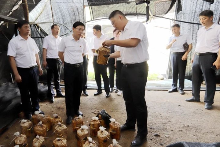 微信图片_20220804135542